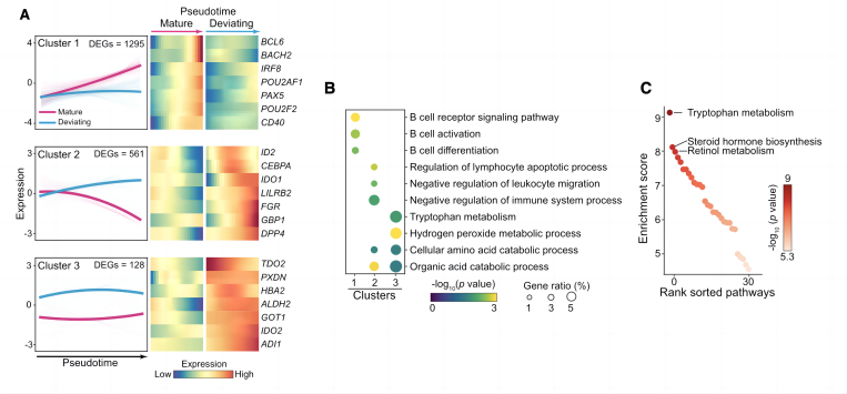 Fig4_Figure 4A-C from Tang et al. (2025)250905